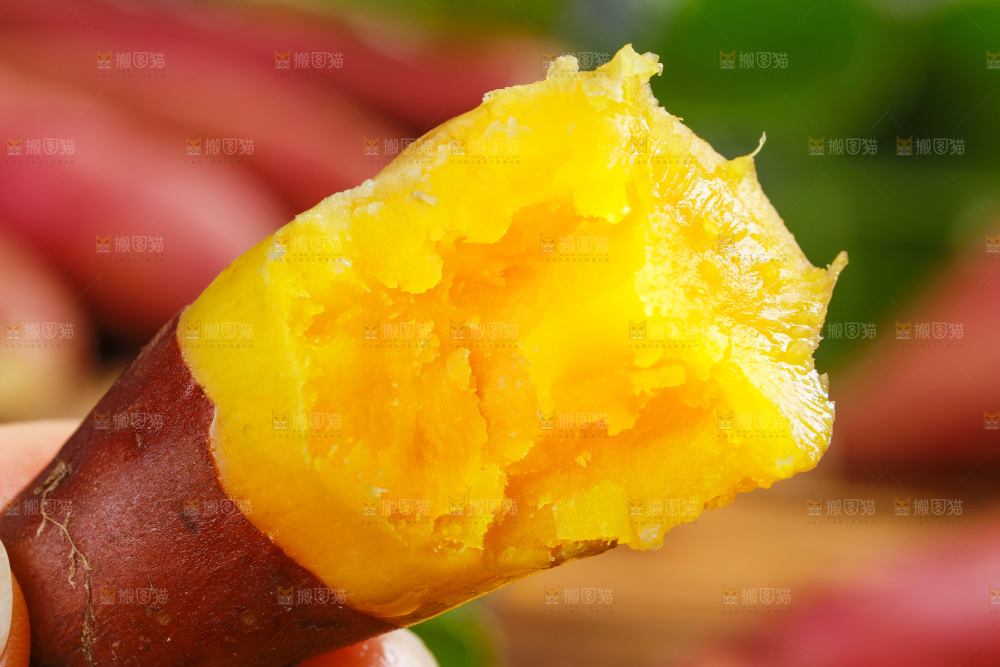 手里拿着小蜜薯