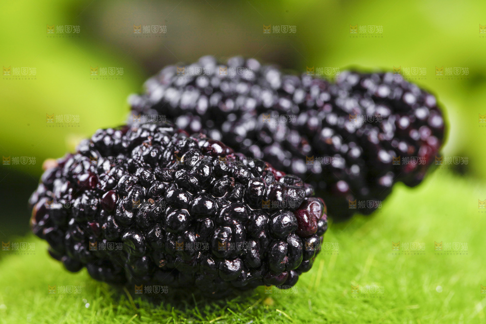 绿草地上摆放着桑葚