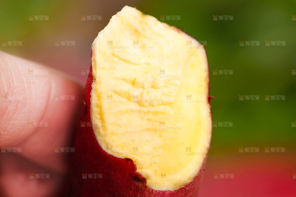 手里拿着小红薯