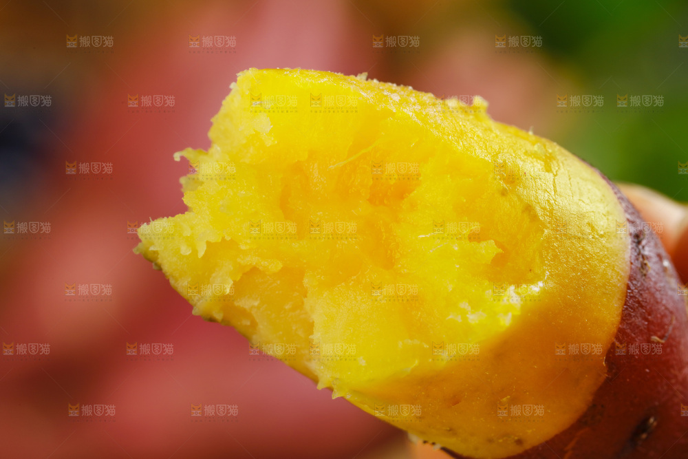 手里拿着小番薯