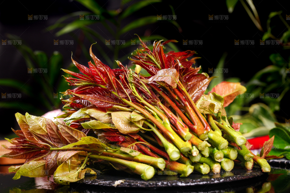 深底上放着香椿芽
