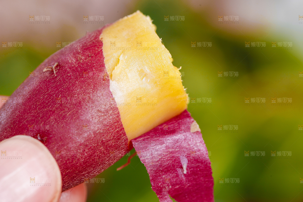 手里拿着小蜜薯