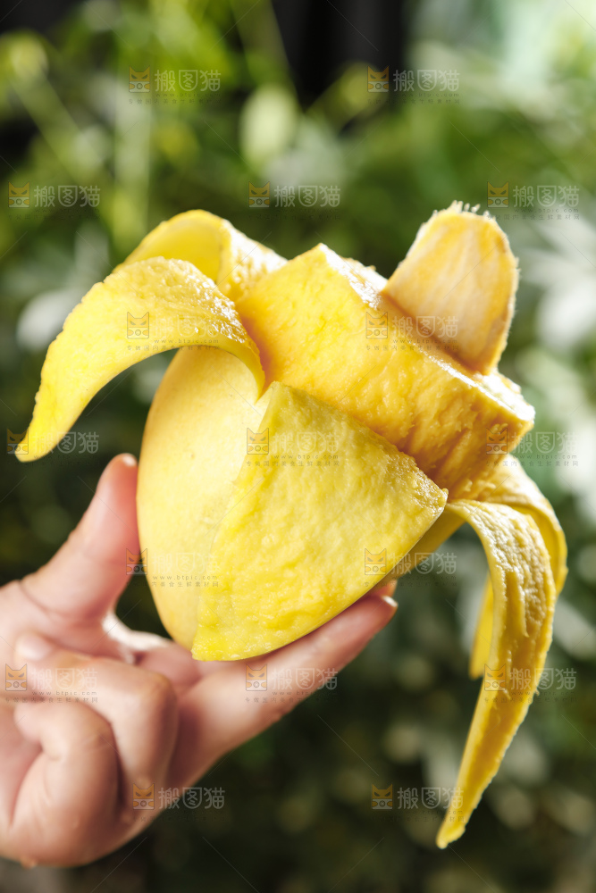 手里拿着甜心芒