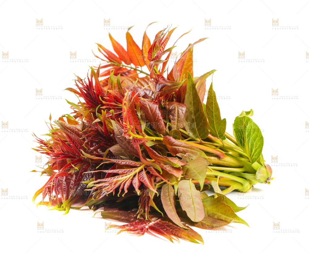 白底上摆放着香椿芽