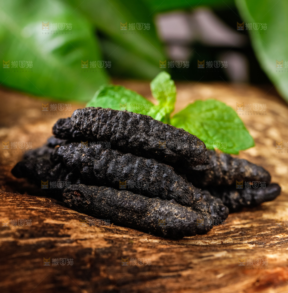 木底上摆放着干海参