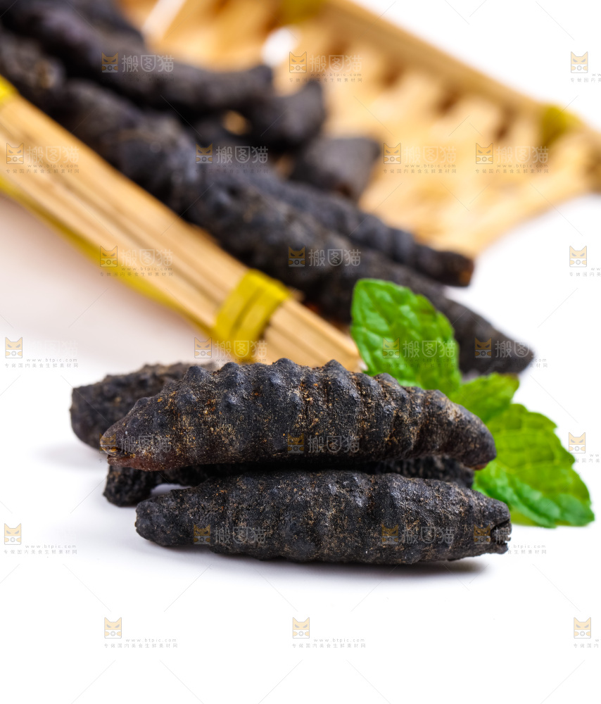 篮子里装着野生海参