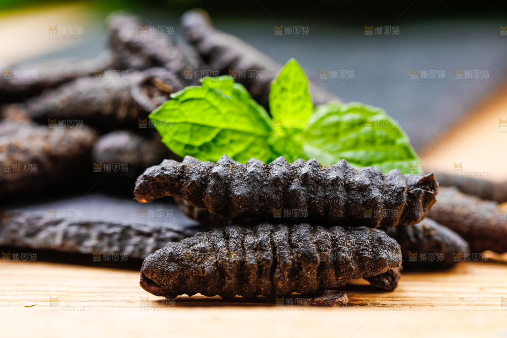 木底上摆放着干海参