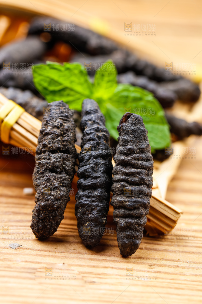 篮子里装着野生海参