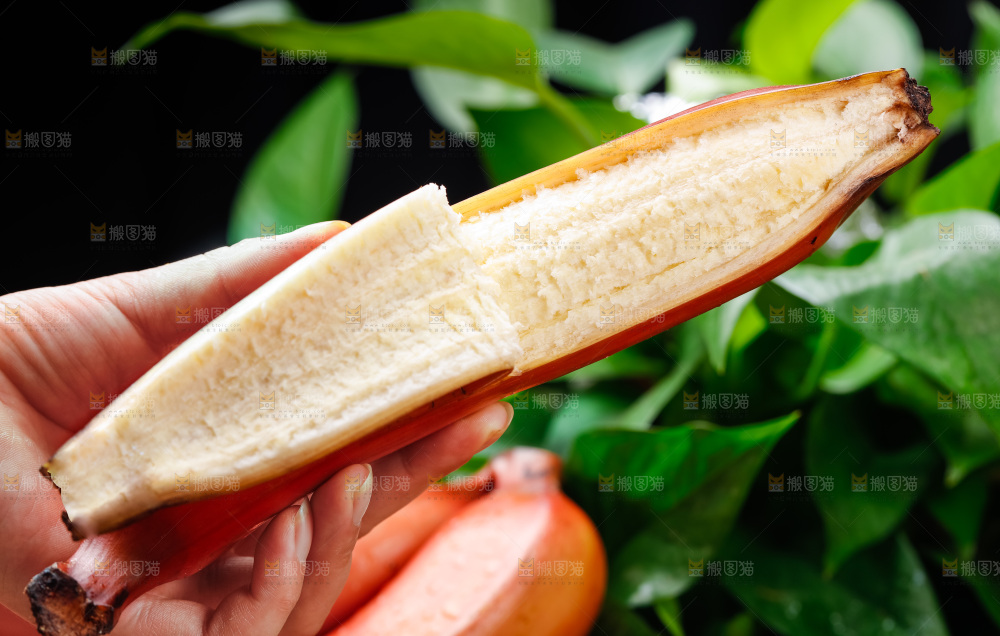 手里拿着香蕉