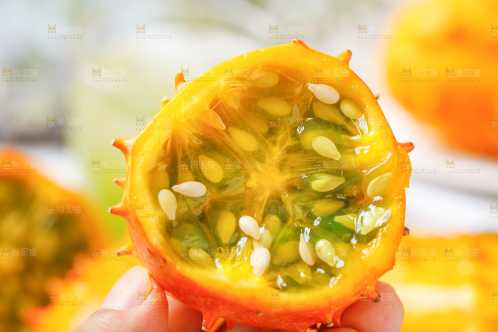 手里拿着火参果
