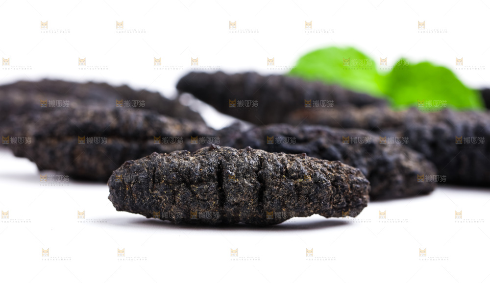 白底上摆放着大连刺参