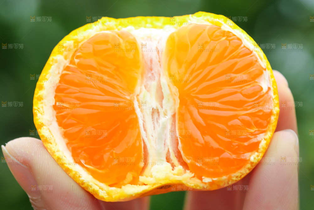 手里拿着新鲜橘子