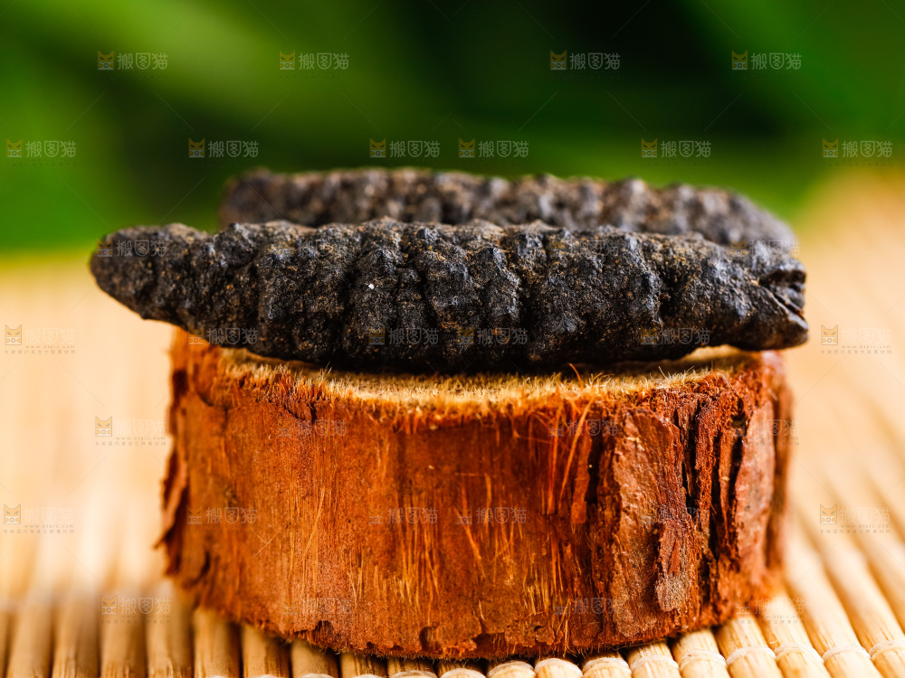 木头上摆放着海参