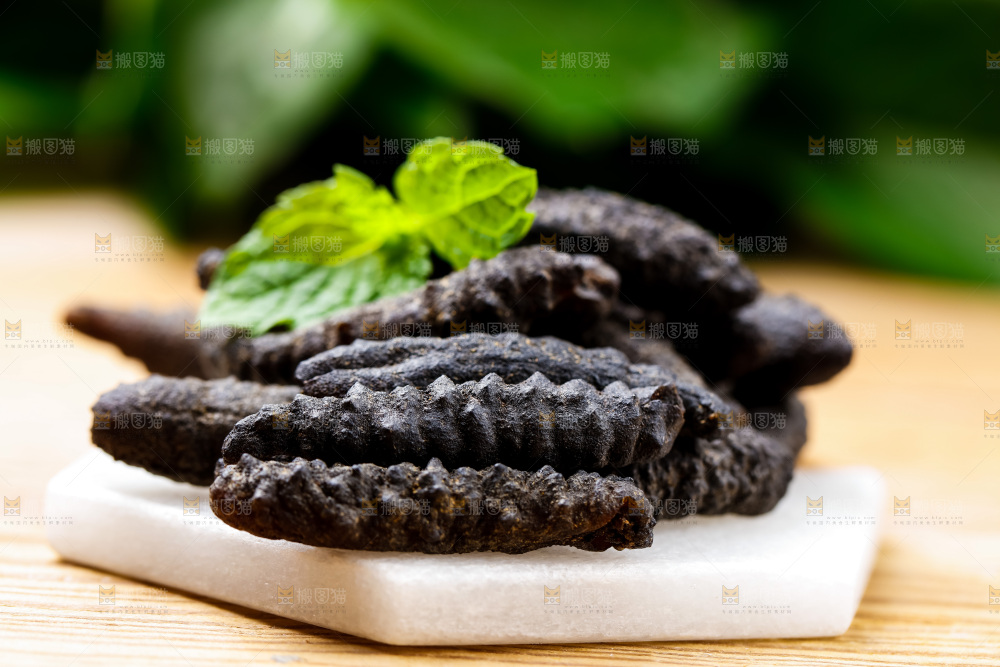 白底上放着海参