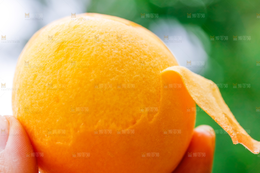 手里拿着桃子