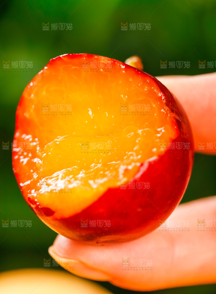 手里拿着红李子