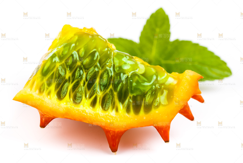 白底上的刺角瓜