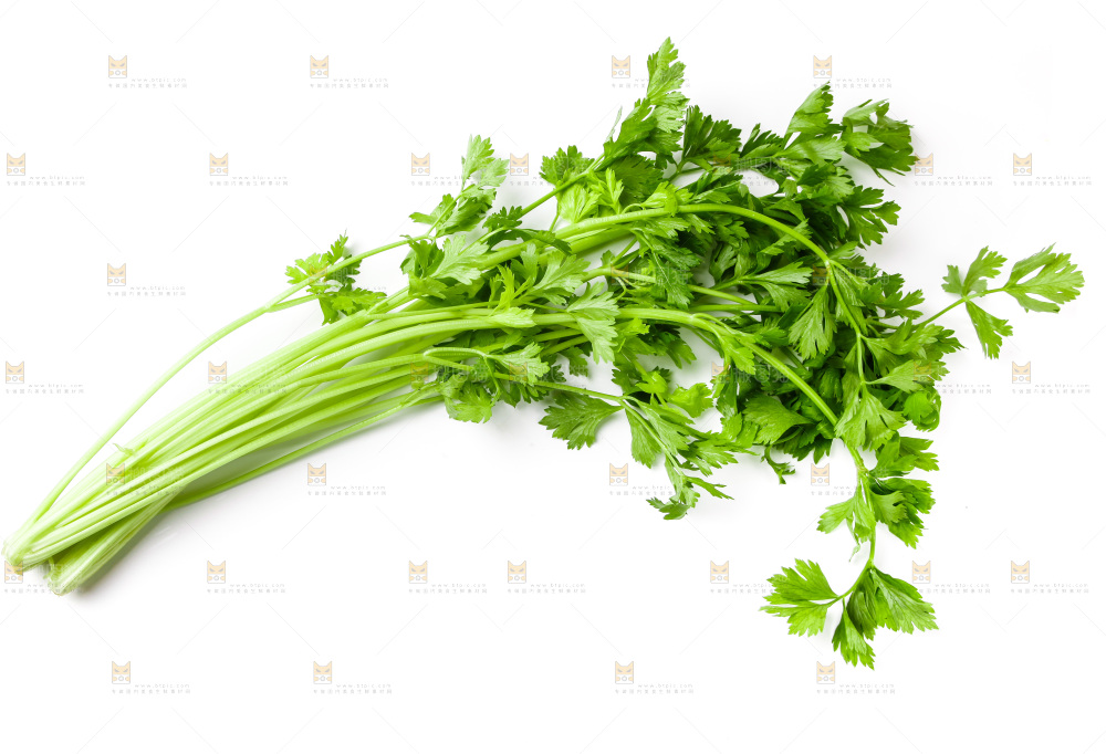 白底上摆放着芹菜