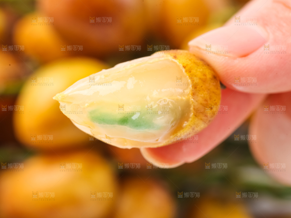 手里拿着黄皮果