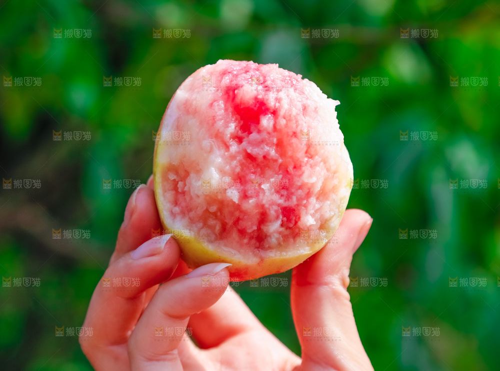 手里拿着水蜜桃