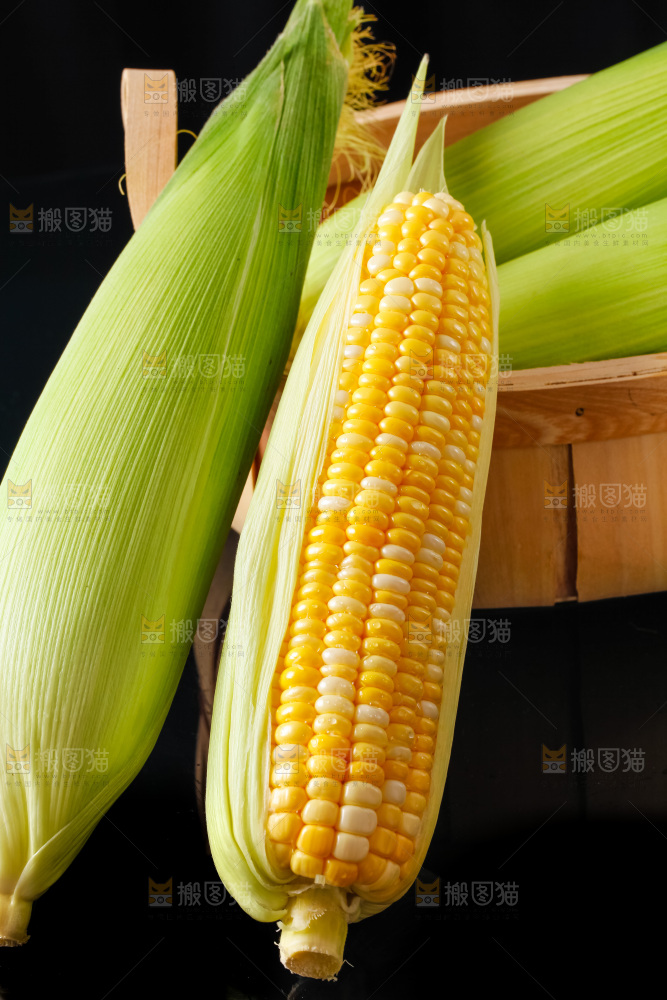 黑底上摆放着玉米棒