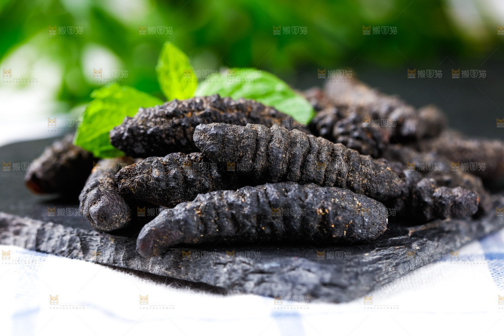 木底上摆放着干海参