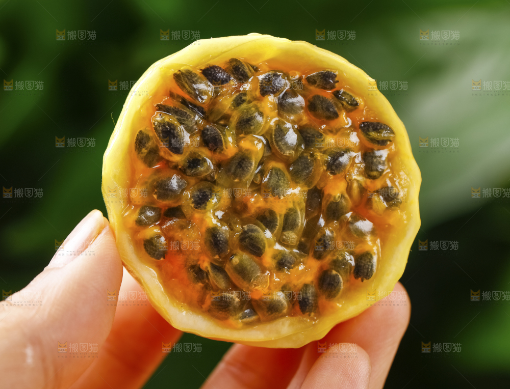 手里拿着黄金果