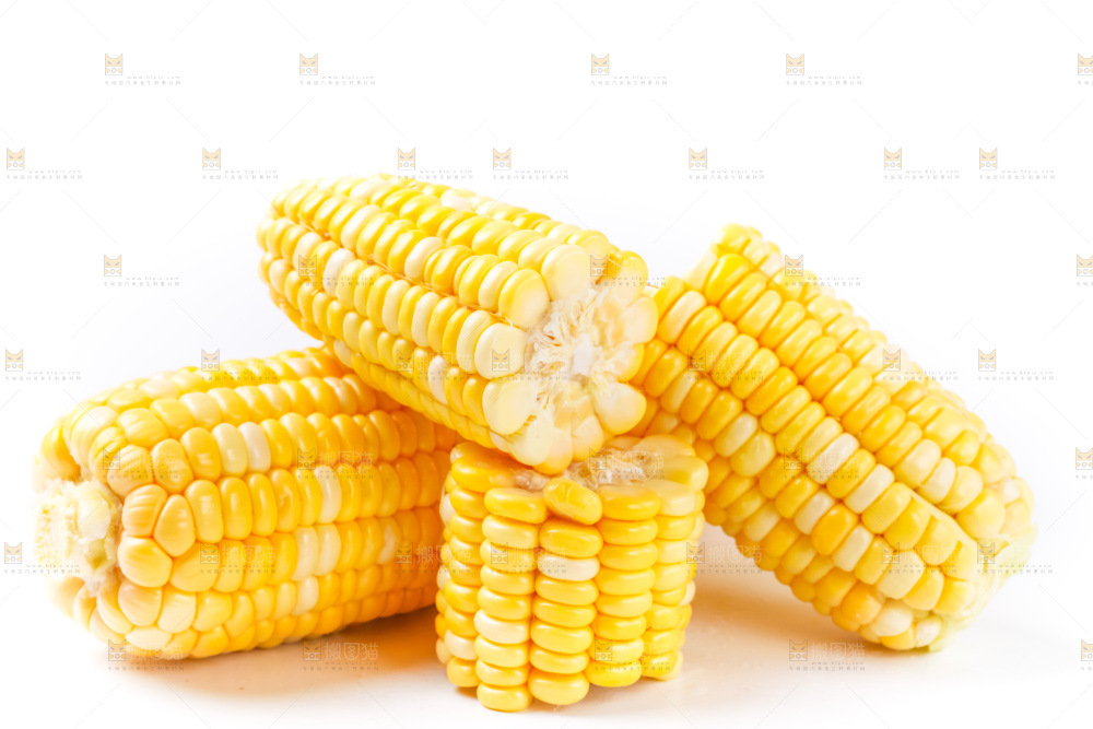 白底上摆放着玉米