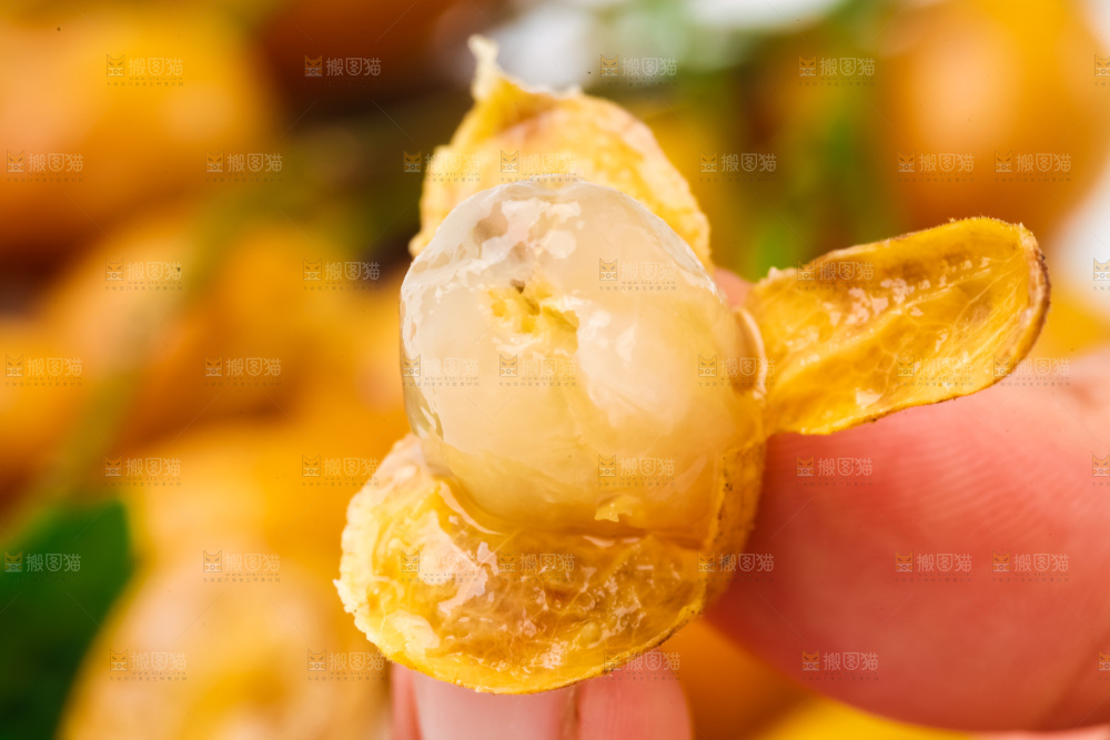 手里拿着黄皮