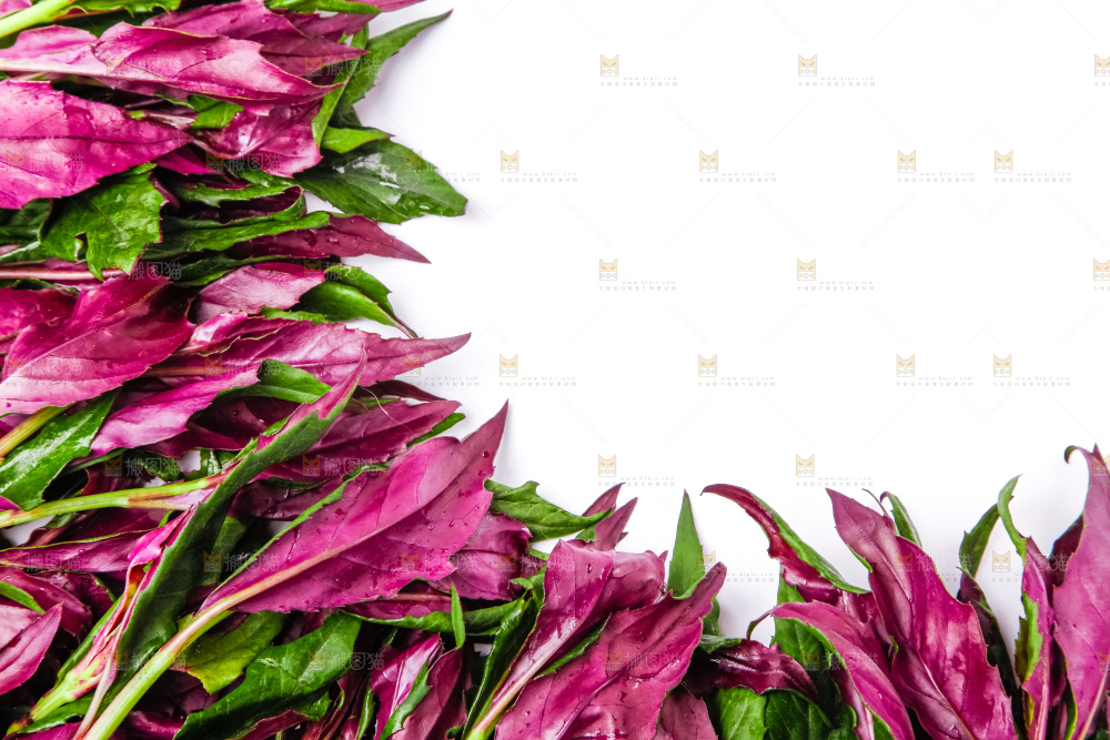 浅底上放着紫背菜