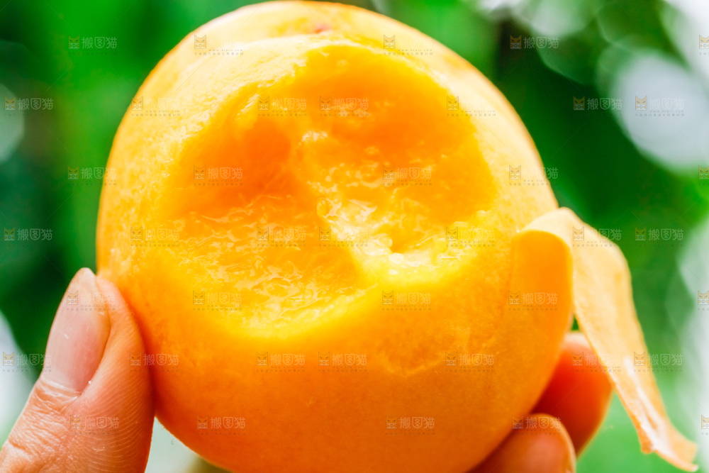 手里拿着桃子