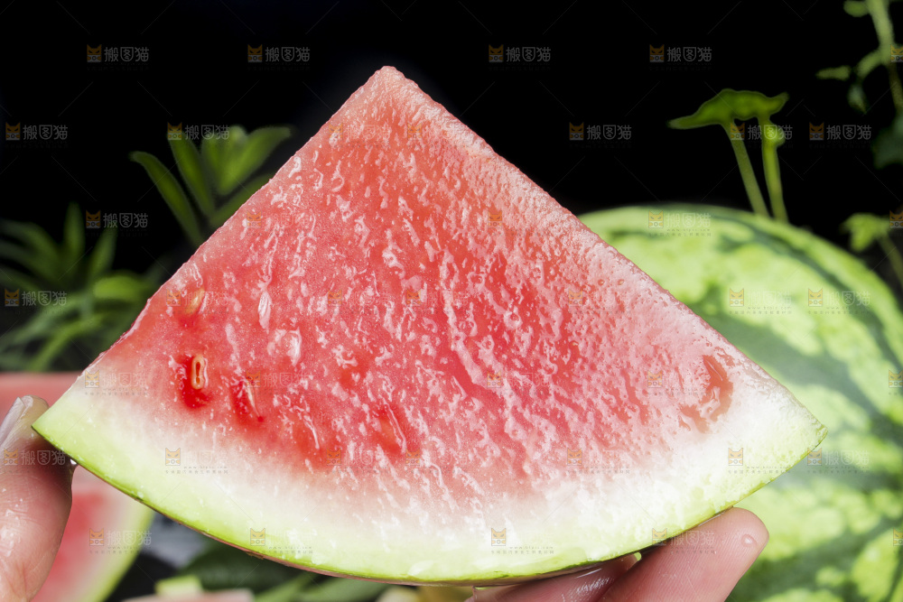 手拿红心西瓜