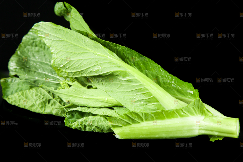 黑底上放着菜薹