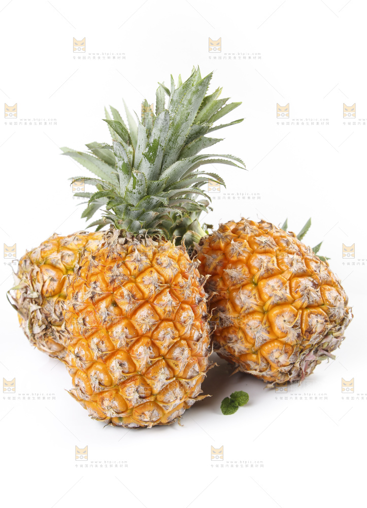白底上的新鲜菠萝