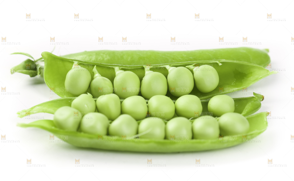白底上的豌豆荚