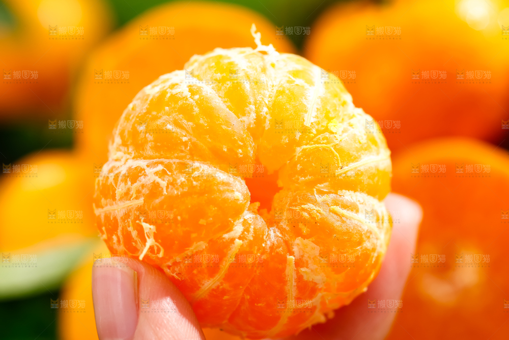 手拿剥皮的沙糖桔