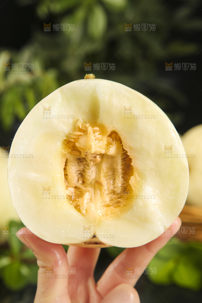 手里拿着掰开陕西阎良甜瓜