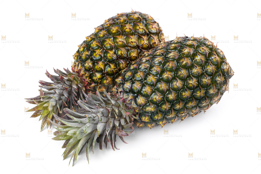 白底上的新鲜凤梨