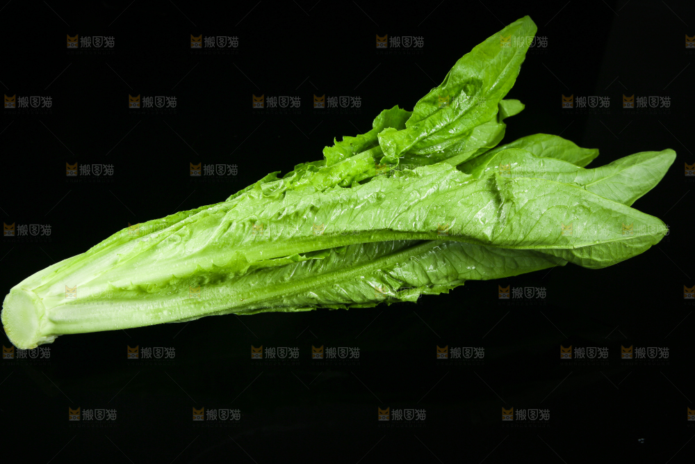 黑底上摆放着油麦菜
