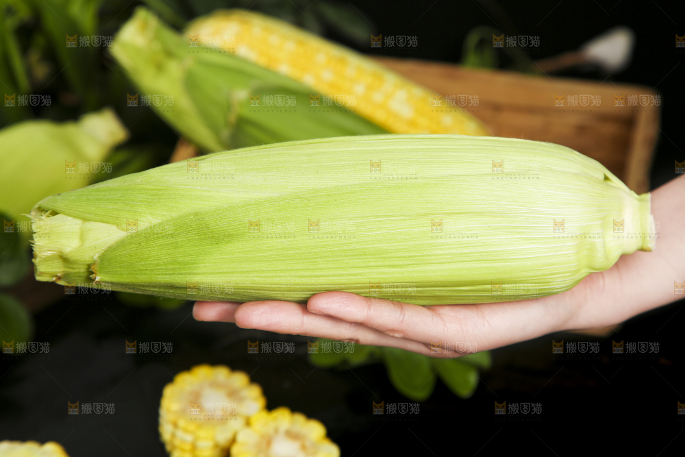 手里拿着水果玉米