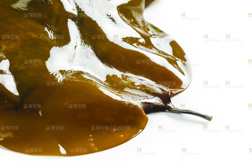 白底上放着海带