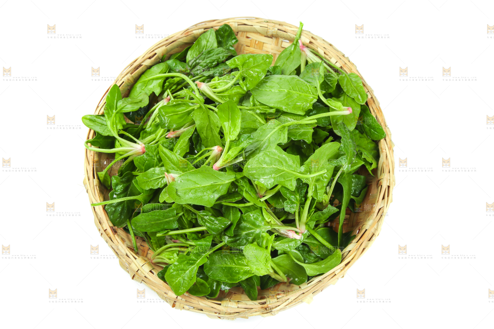 白底上放着新鲜菠菜
