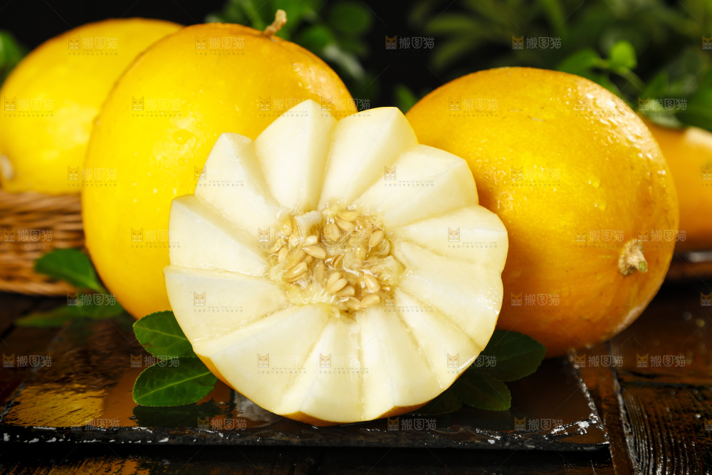 黄河蜜瓜