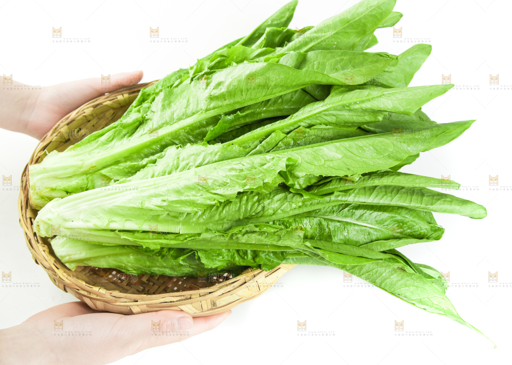 白底上的嫩油麦菜