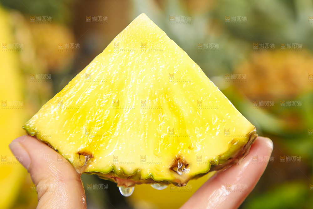 手拿着切块的金钻凤梨