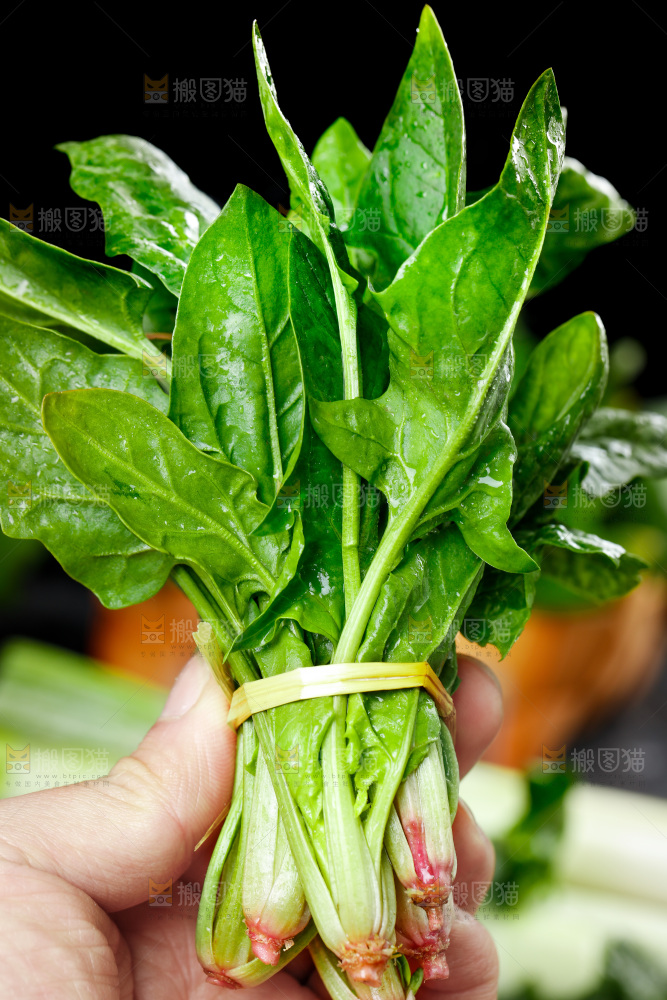 手里拿着一捆菠菜
