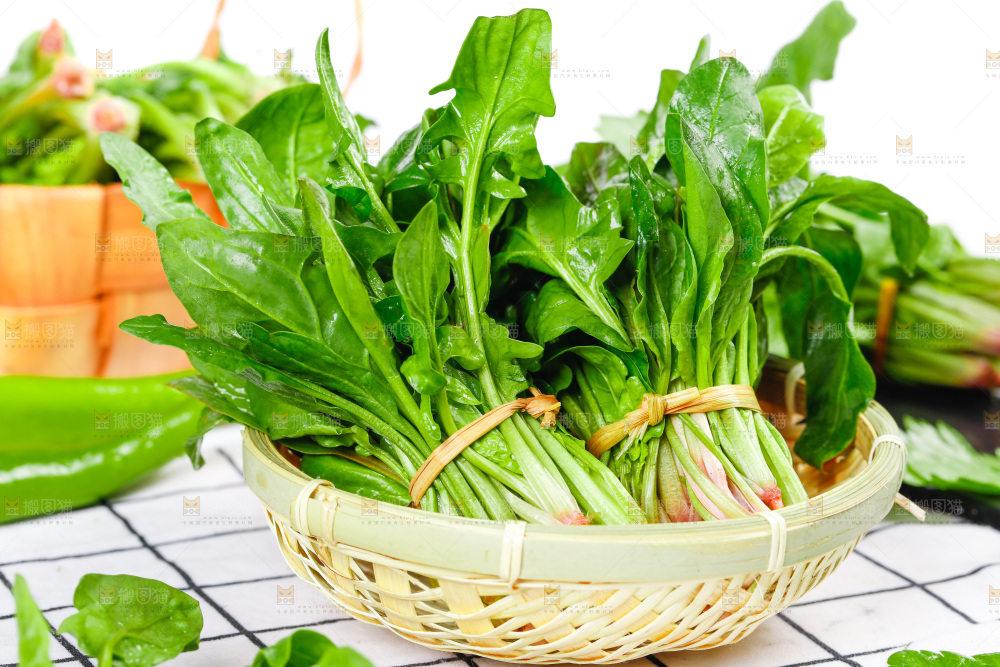 格子底上放着一堆绿色菠菜