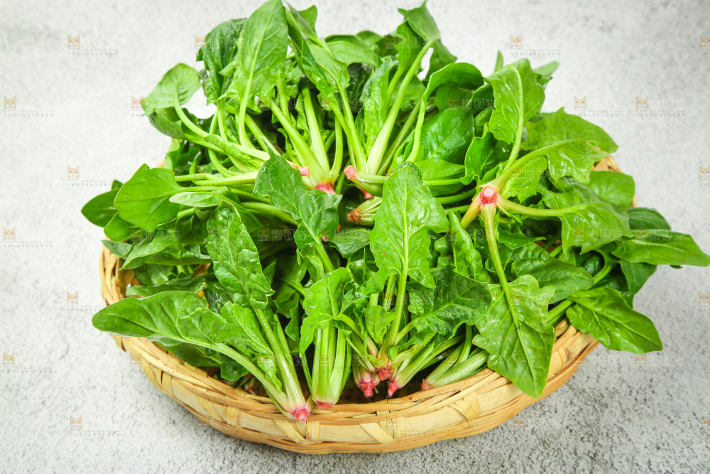 浅底上放着新鲜菠菜