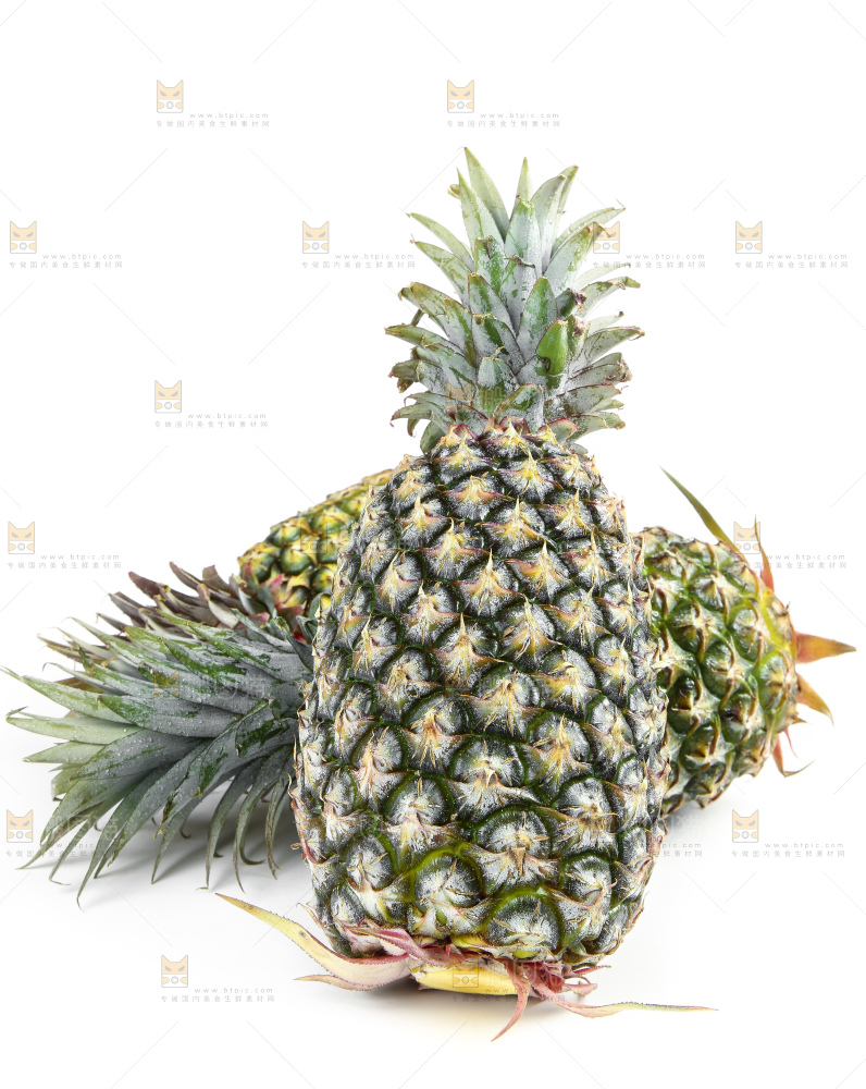 白底上的新鲜凤梨