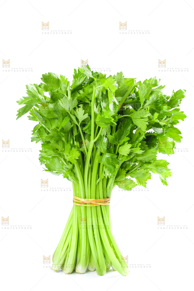 白底上放着一把芹菜